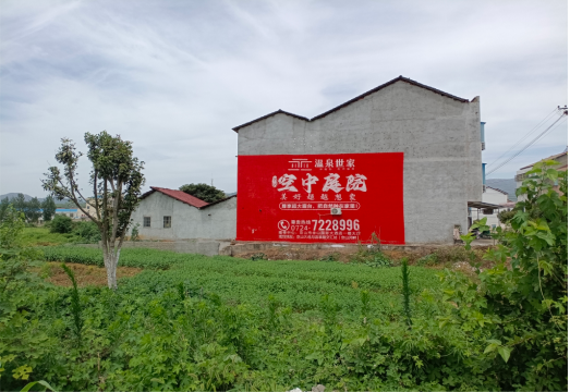 天全做墙体广告的意义