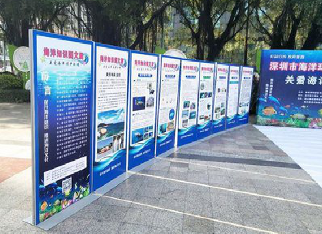 天全KT板的种类和知识。